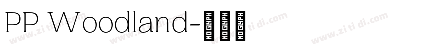 PP Woodland字体转换